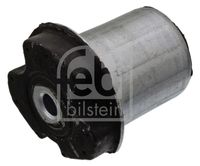 FEBI BILSTEIN 22289 - Suspensión, cuerpo del eje