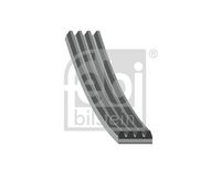 FEBI BILSTEIN 28765 - Correa trapecial poli V