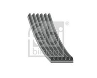 FEBI BILSTEIN 28953 - Correa trapecial poli V