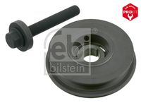 FEBI BILSTEIN 33620 - Polea, cigüeñal