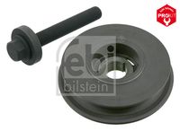 FEBI BILSTEIN 33620 - Polea, cigüeñal