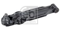 FEBI BILSTEIN 42290 - Barra oscilante, suspensión de ruedas