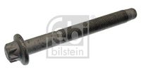 FEBI BILSTEIN 43584 - Tornillo, brazo transversal