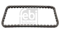FEBI BILSTEIN 45955 - Cadena de distribución