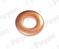 PAYEN KG5349 - Protección térmica, sistema inyección