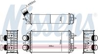 NISSENS 961367 - Radiador de aire de admisión