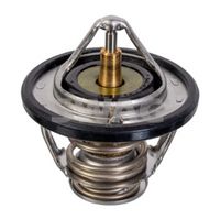 SWAG 33 10 4984 - Termostato, refrigerante