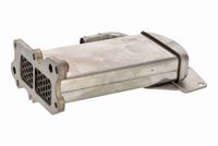 VEMO V10-63-0164 - Elemento enfriador, reciclaje gases escape