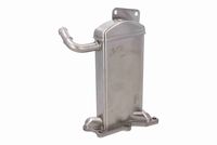 VEMO V10-63-0162 - Elemento enfriador, reciclaje gases escape