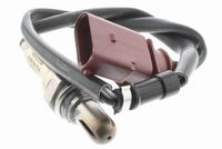 VEMO V10-76-0070 - Sonda Lambda