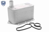 VEMO V20-60-0042 - Radiador de aceite, aceite motor