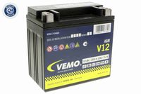 VEMO V99-17-0060 - Batería de arranque