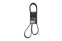KAMOKA 7016151 - Correa trapecial poli V