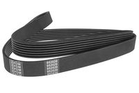 DENCKERMANN 6PK1195 - Correa trapecial poli V
