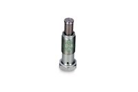 Schaeffler INA 551 0138 10 - Tensor, cadena de distribución