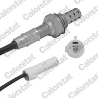 CALORSTAT by Vernet LS110018 - Sonda Lambda