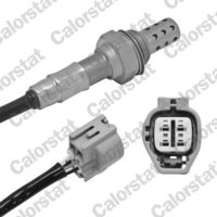 CALORSTAT by Vernet LS150036 - Sonda Lambda