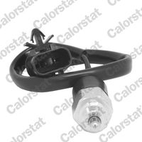 CALORSTAT by Vernet RS5602 - Interruptor, piloto de marcha atrás