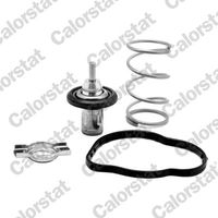 CALORSTAT by Vernet THK7276.83J - Termostato, refrigerante