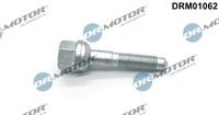 LIZARTE DRM01062 - Tornillo, soporte inyector