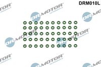 LIZARTE DRM010L - Junta tórica, portainyectores