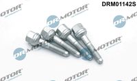 LIZARTE DRM01142S - Tornillo, soporte inyector