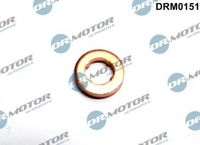 LIZARTE DRM0151 - Junta tórica, inyector