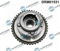 LIZARTE DRM01531 - Ajustador árbol de levas
