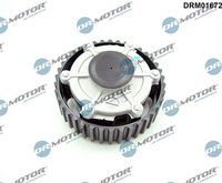 LIZARTE DRM01672 - Ajustador árbol de levas