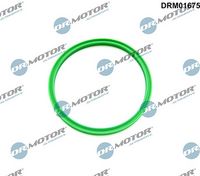 LIZARTE DRM01675 - Junta tórica, conducto aire admisión