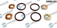 LIZARTE DRM018S - Kit juntas, sistema de inyección