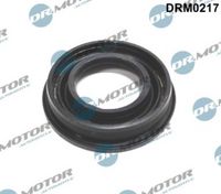 LIZARTE DRM0217 - Junta, portainyector