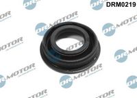 LIZARTE DRM0219 - Junta, portainyector