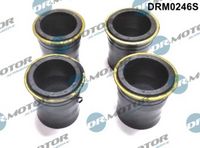 LIZARTE DRM0246S - Junta, portainyector