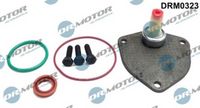 LIZARTE DRM0323 - kit reparación, bomba vacío (frenos)