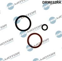 LIZARTE DRM032RK - Kit de reparación, unidad bomba-inyector