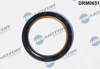 LIZARTE DRM0651 - Retén para ejes, cigüeñal