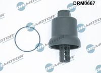 LIZARTE DRM0667 - Cubierta, caja filtro de aceite