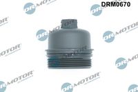 LIZARTE DRM0670 - Cubierta, caja filtro de aceite