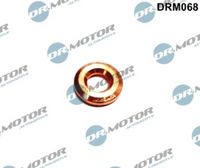 LIZARTE DRM068 - Junta tórica, inyector