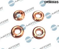 LIZARTE DRM068S - Juego de juntas, inyector