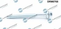 LIZARTE DRM0768 - Tornillo, soporte inyector