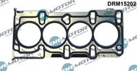 LIZARTE DRM15202 - Junta, culata
