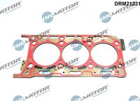 LIZARTE DRM21231 - Junta, culata