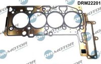 LIZARTE DRM22201 - Junta, culata