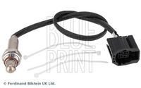 BLUE PRINT ADBP700122 - Sonda Lambda
