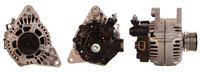 DRI 224194902 - Alternador