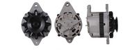 DRI 243025402 - Alternador