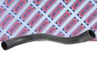 BORG & BECK BTH1740 - Tubo flexible de aire de sobrealimentación