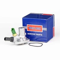BORG & BECK BBT153 - Termostato, refrigerante